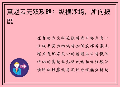 真赵云无双攻略:纵横沙场,所向披靡